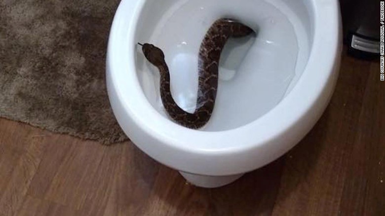 How to Snake a Toilet - This Old House